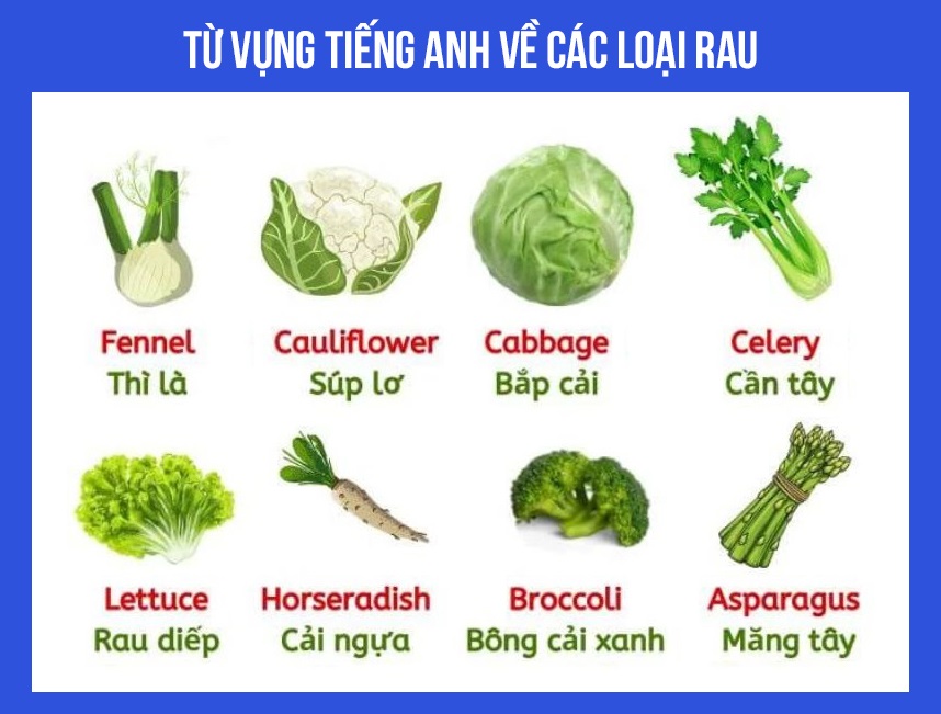 Từ vựng tiếng Anh về các loại rau