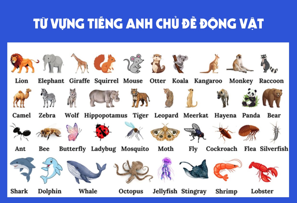 Từ vựng tiếng Anh chủ đề động vật