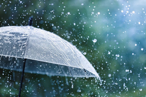 Rain
