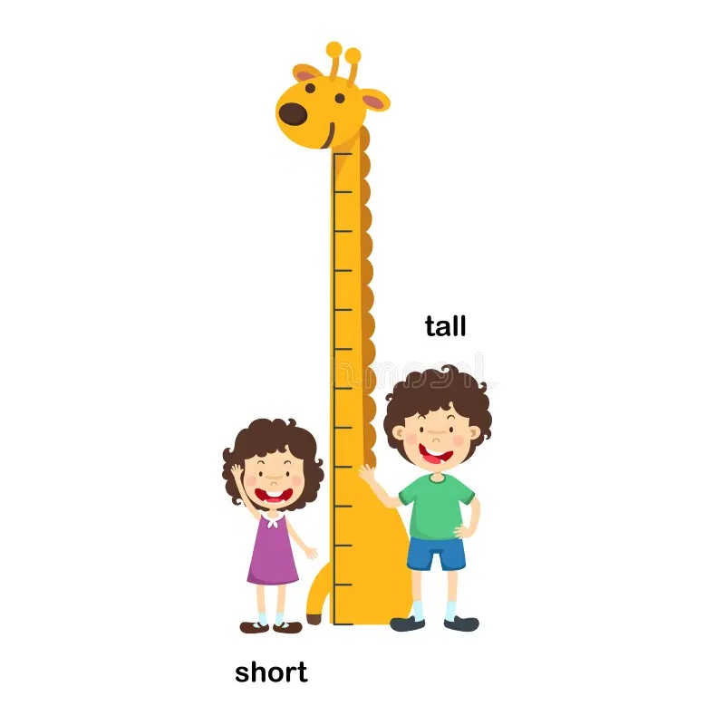 Tall
