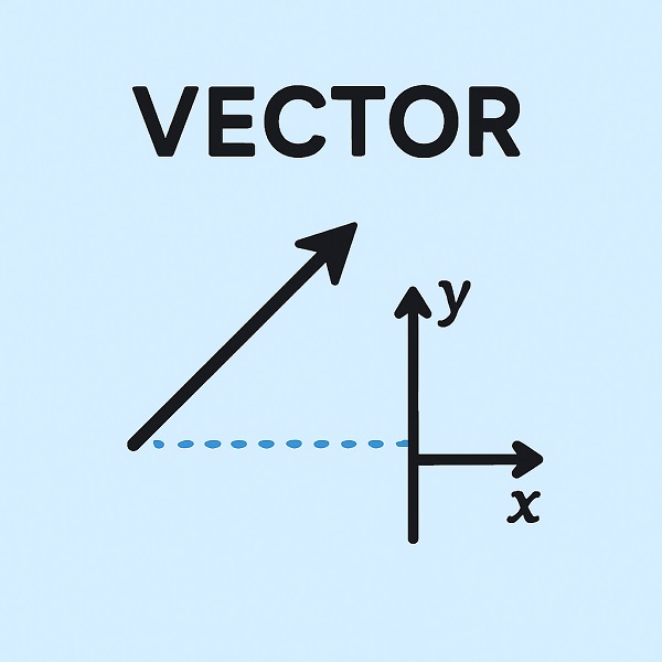 Vector